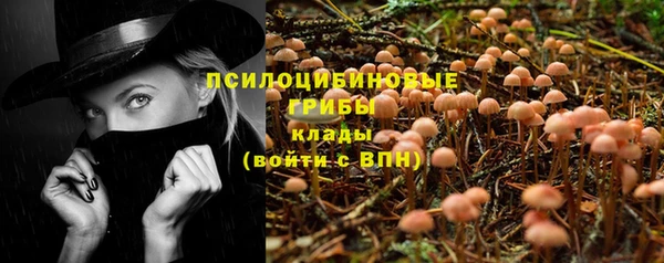 бошки Абинск