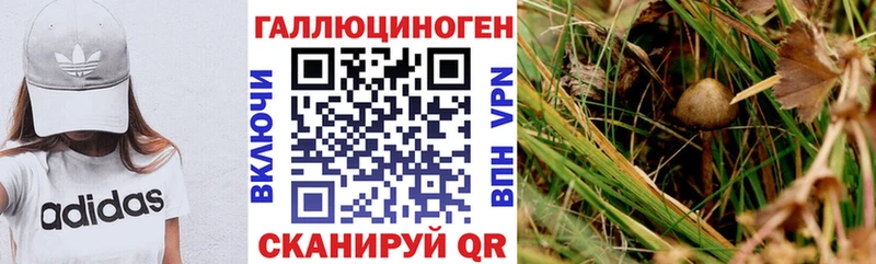 Псилоцибиновые грибы мицелий  наркотики  Миллерово 